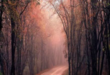 美职足排行榜是如何反映联赛竞争格局的？